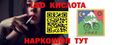 тгк Канаш