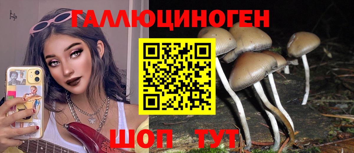 Галлюциногенные грибы Cubensis Амурск